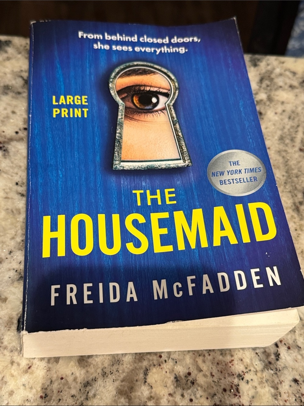 The Housemaid by Freida McFadden - Blue Cover Large Print